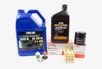 Yamaha VF90 300 Hour Service Maintenance Kit - Yamalube 10W-30 Cheap